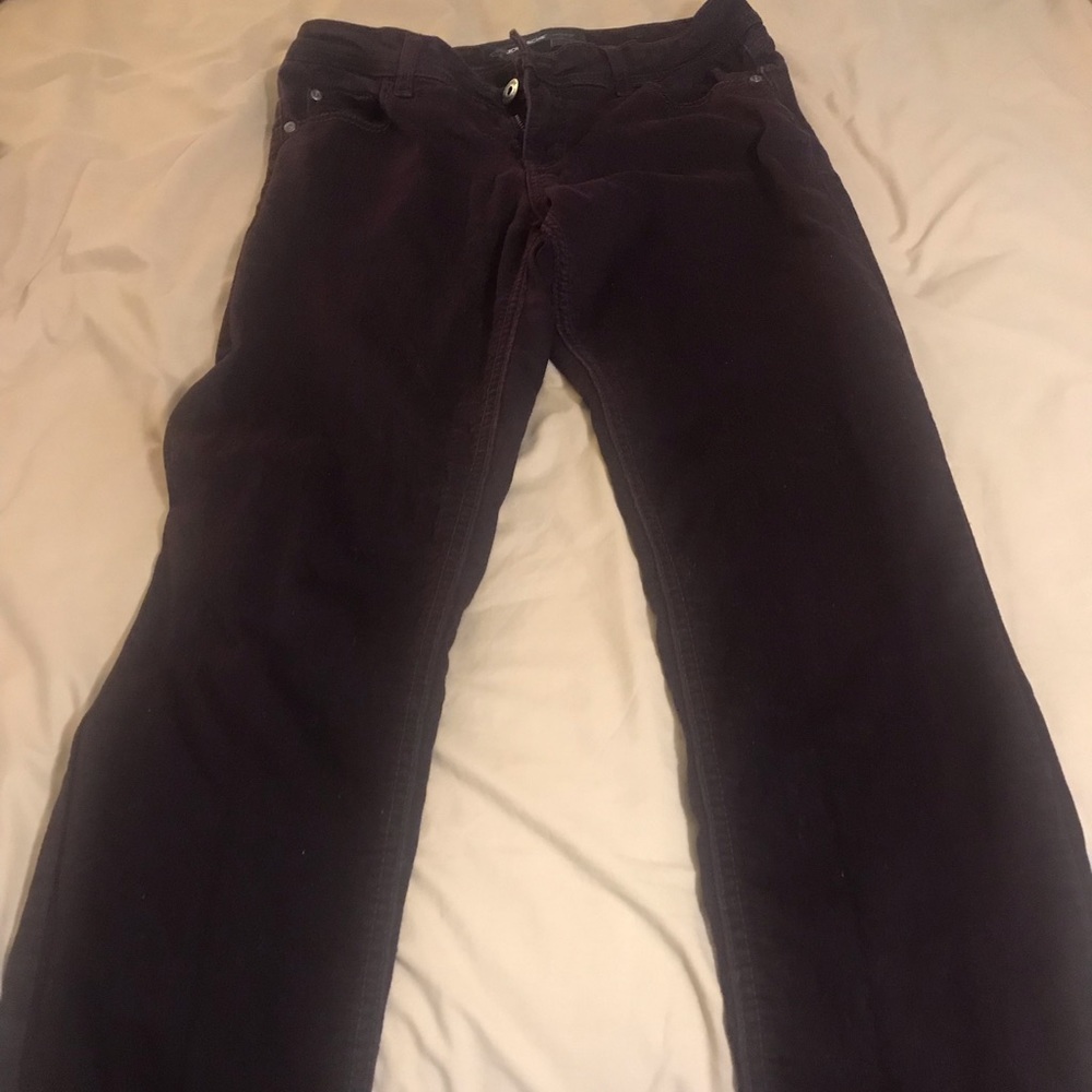 Jordache Skinny Jeans
